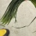 苍山四六瓣蒜薹