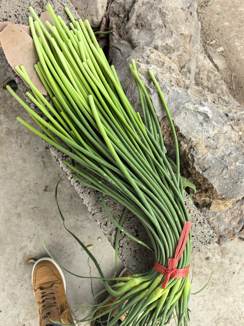苍山四六瓣蒜薹