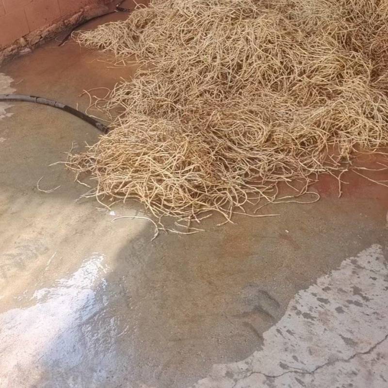 鱼腥草产地，需要的看过来。