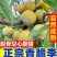 一件代发～李子～青脆李子，脱骨李子～对接各大电商平台