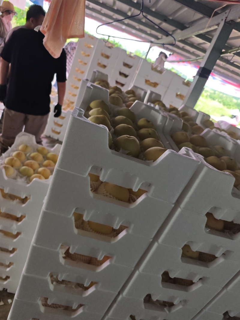 突围水密
