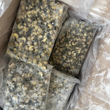 花螺肉。东风螺肉活挑400/600