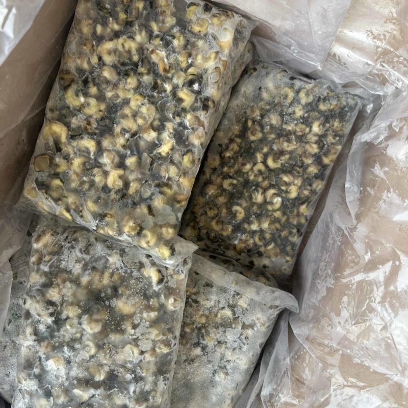 花螺肉。东风螺肉活挑400/600