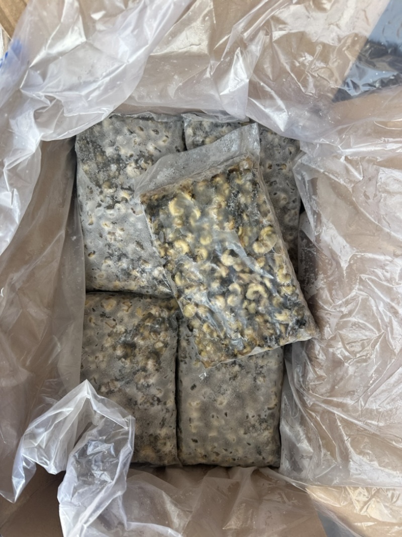 花螺肉。东风螺肉活挑400/600