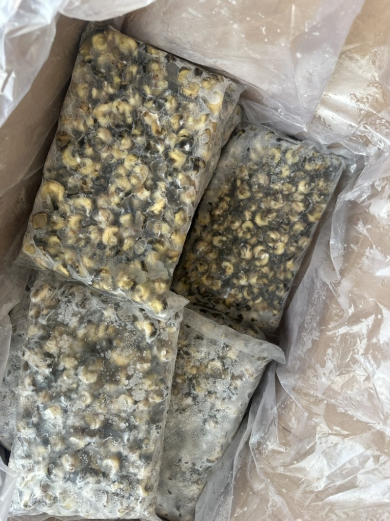 花螺肉。东风螺肉活挑400/600
