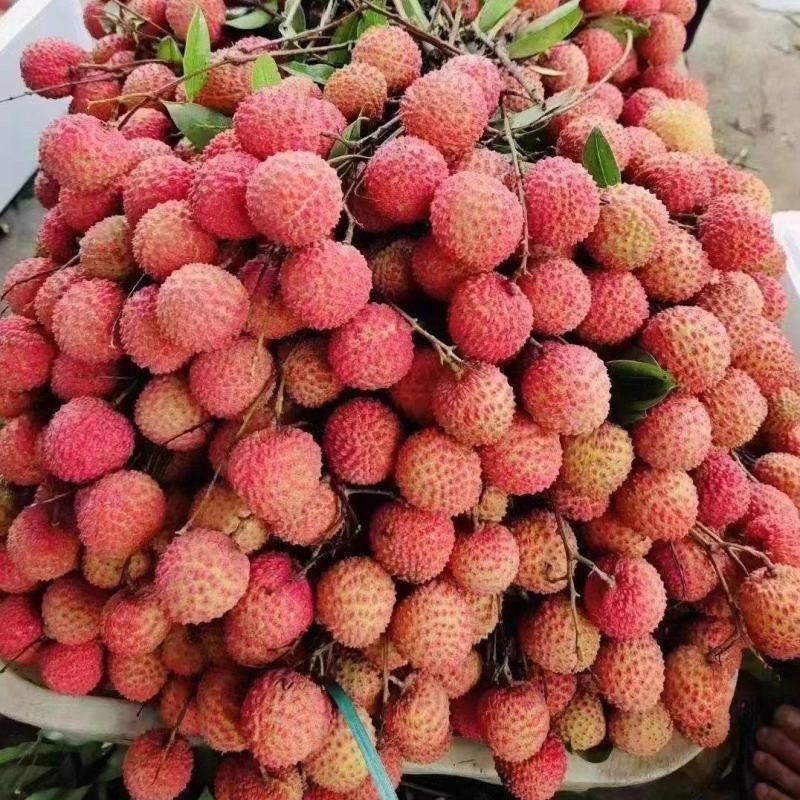 桂味果中**味道杠杠的