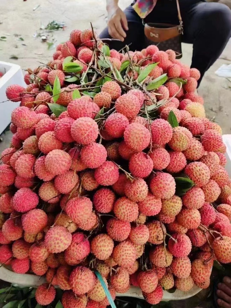 桂味果中**味道杠杠的