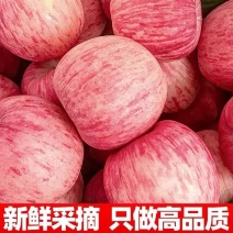 新鲜红富士支持一件代发