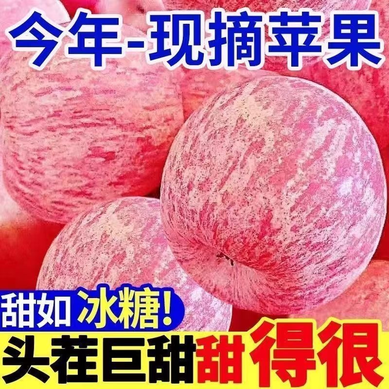 新鲜红富士支持一件代发