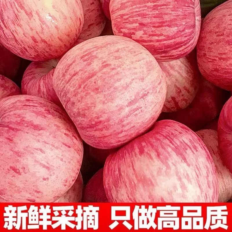 新鲜红富士支持一件代发