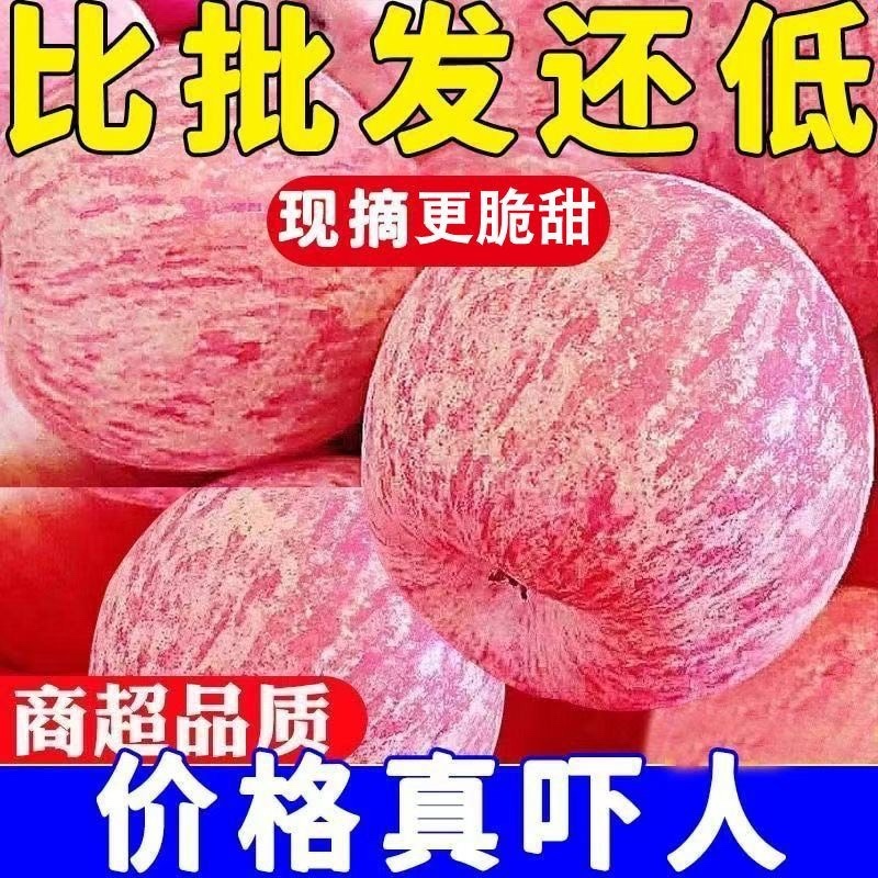 新鲜红富士支持一件代发