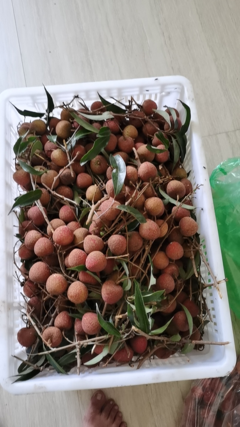 荔枝