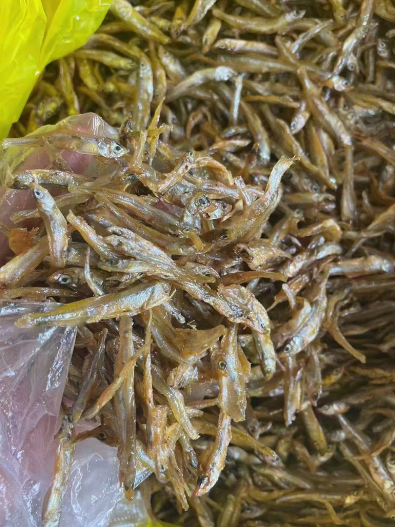 小河鱼油炸鱼地摊电商批发新疆淡水公鱼干青海公干鱼