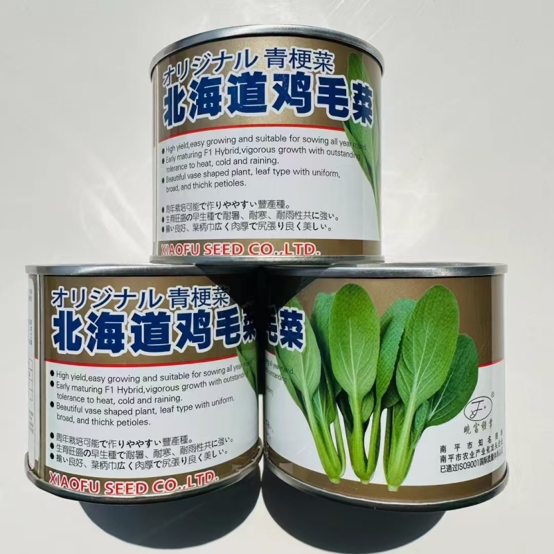 北海道鸡毛菜种子抗病耐热耐雨水夏秋两季均可播种