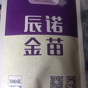 敖汉2025年新谷子