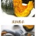 湖北南瓜，贝贝南瓜大量上市，对接全国市场，欢迎咨询