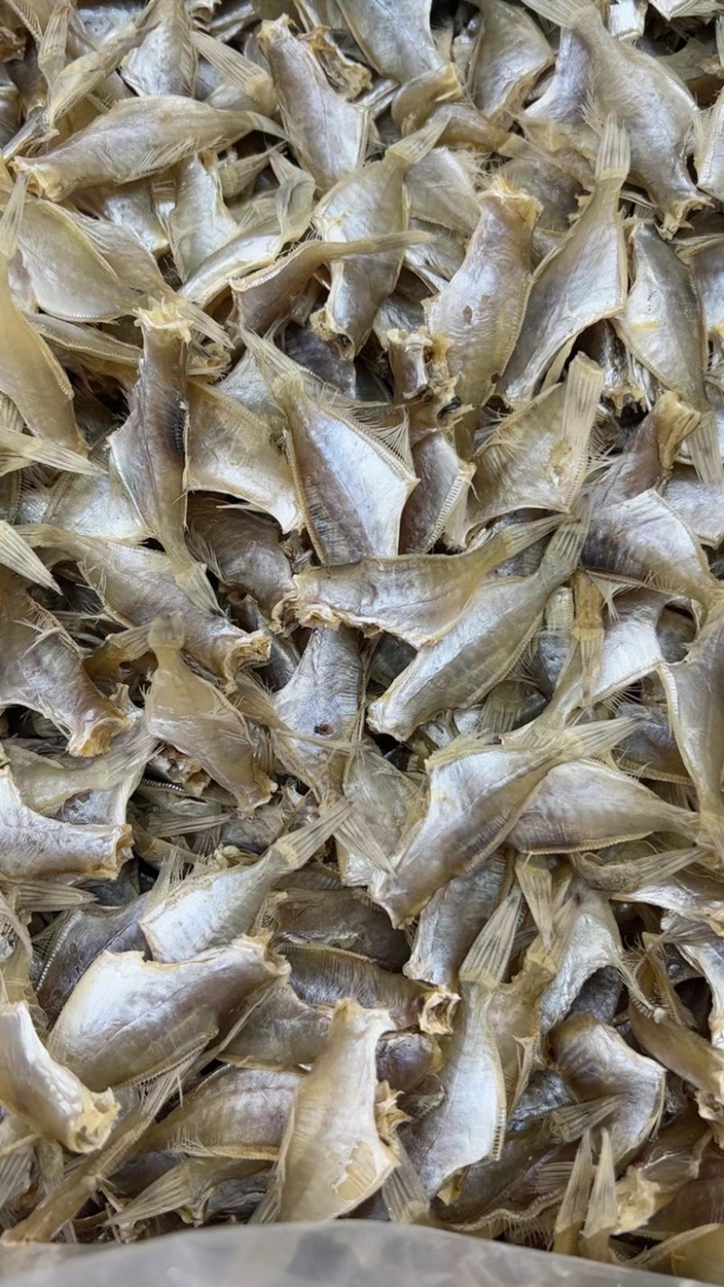 淡干扒皮鱼干剥皮小鱼干剥皮鱼干地摊电商批发羊仔迪仔干鱼干