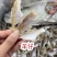 淡干扒皮鱼干剥皮小鱼干剥皮鱼干地摊电商批发羊仔迪仔干鱼干