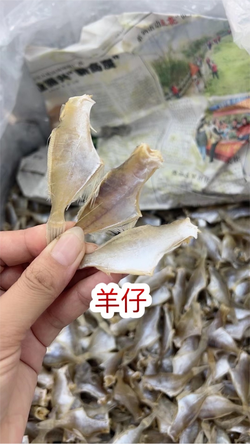 淡干扒皮鱼干剥皮小鱼干剥皮鱼干地摊电商批发羊仔迪仔干鱼干