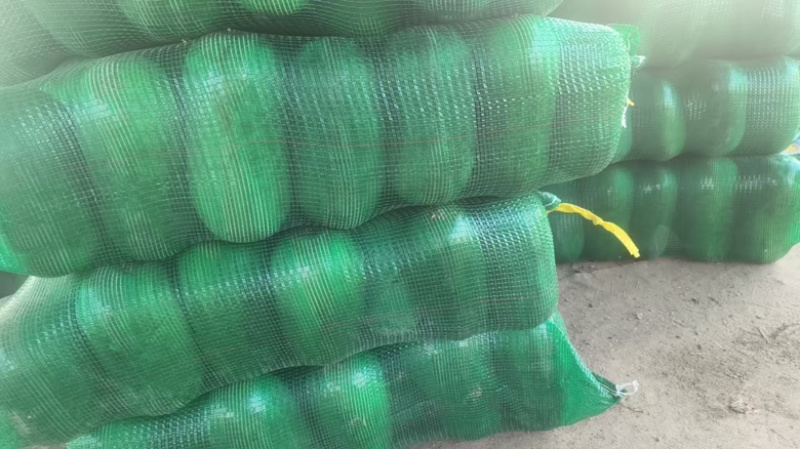 水果小冬瓜电商货大量供应质量保证