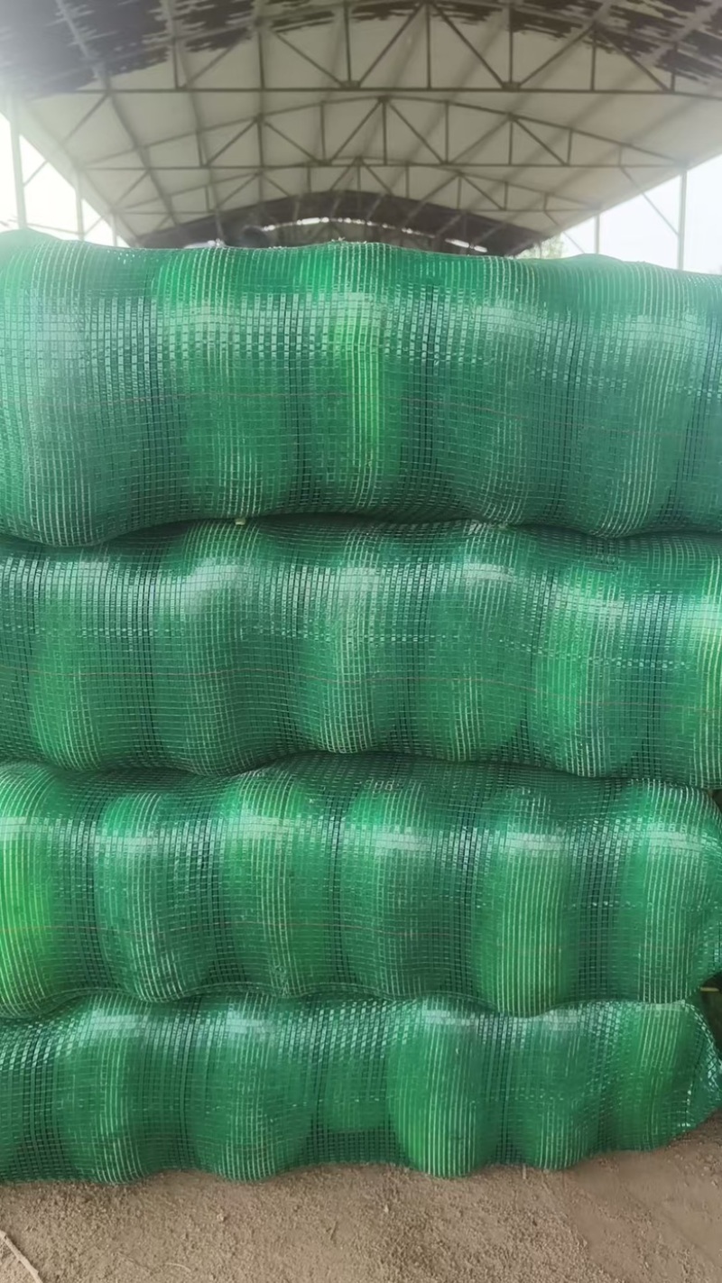 水果小冬瓜电商货大量供应质量保证