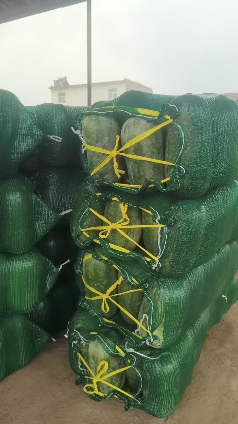 水果小冬瓜电商货大量供应质量保证