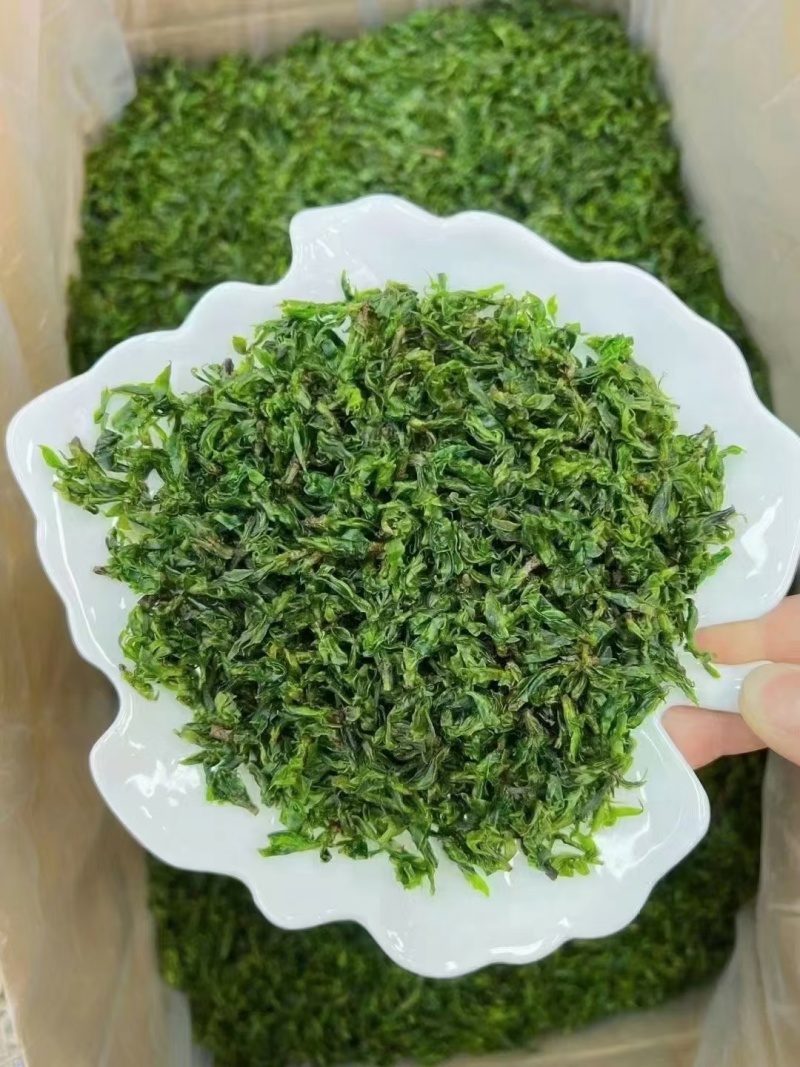 独芽小叶苦丁