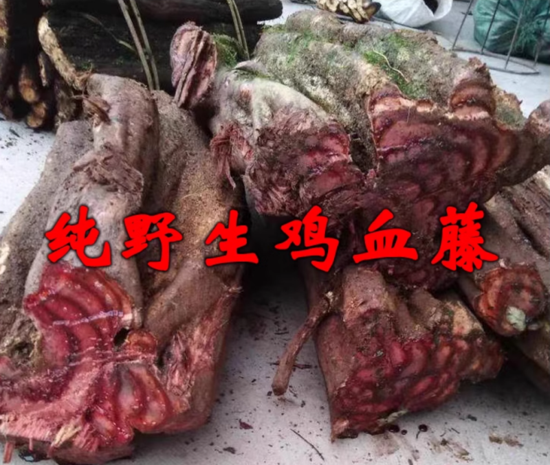 新鲜鸡血藤大藤基地直供可视频看货欢迎咨询