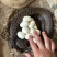 半露天养殖水律蛇眼镜蛇蛋出壳率高成活率高