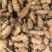 姜黄种子月子姜泰国姜咖喱香味红姜黄姜苗碎姜可做种