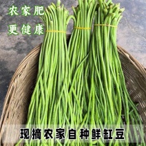 豆角长豆角青条豆角產地直销视频看货打款发货