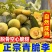 一件代发青脆李脱骨李子对接电商市场等客户欢迎咨询合作