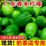 【正宗广东香水柠檬]广东品种无籽香水柠檬厚皮巨香果正宗