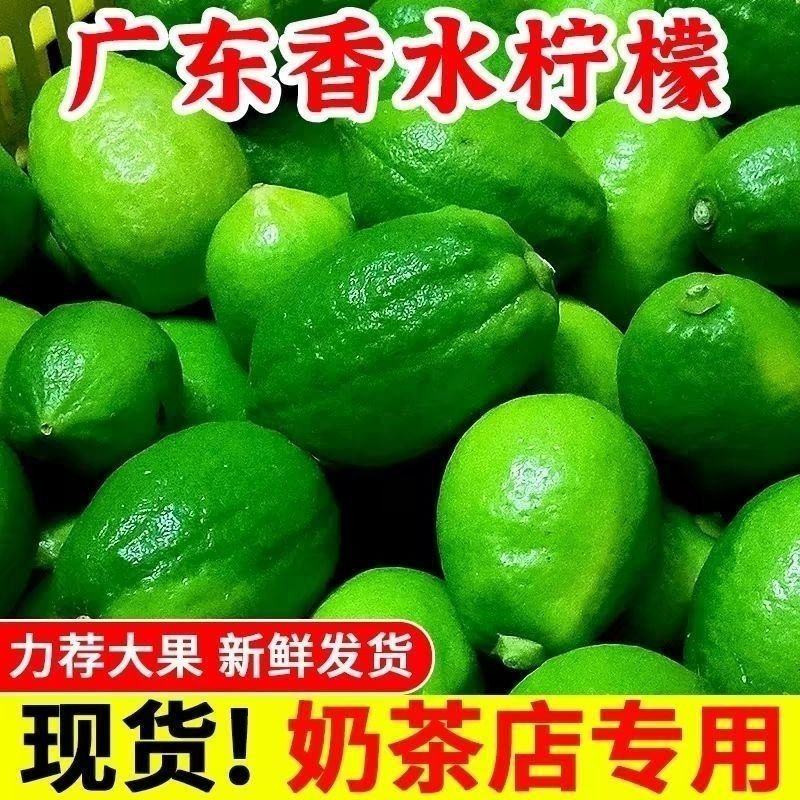 【正宗广东香水柠檬]广东品种无籽香水柠檬厚皮巨香果正宗
