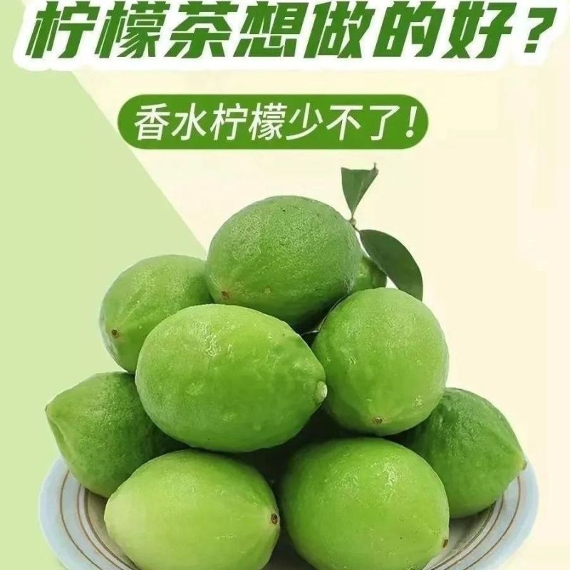 【正宗广东香水柠檬]广东品种无籽香水柠檬厚皮巨香果正宗