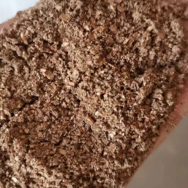 核桃粉