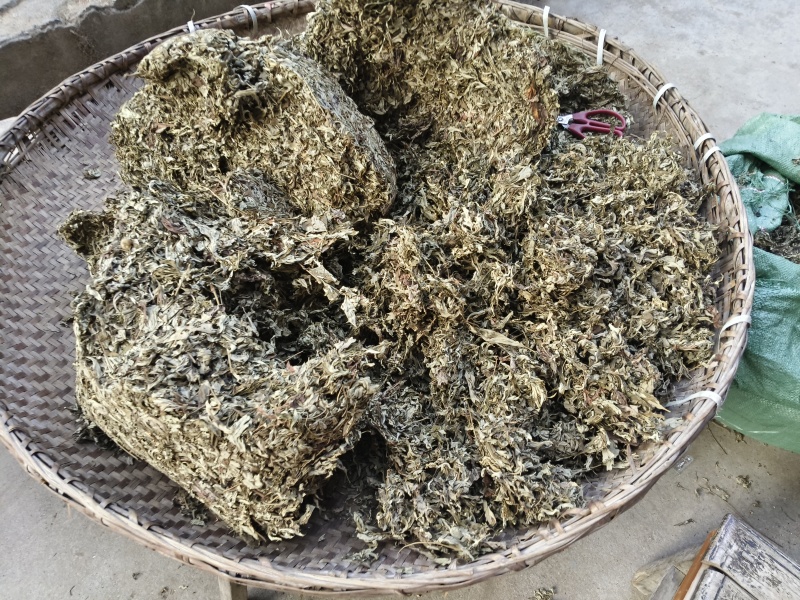 陕南高山艾叶纯叶子，干净杂质少，有两年三年的货。