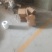 甜度高品质好苹果长期有货