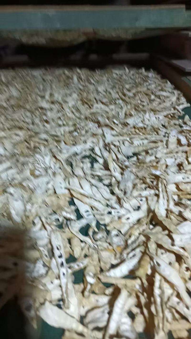 苦笋干