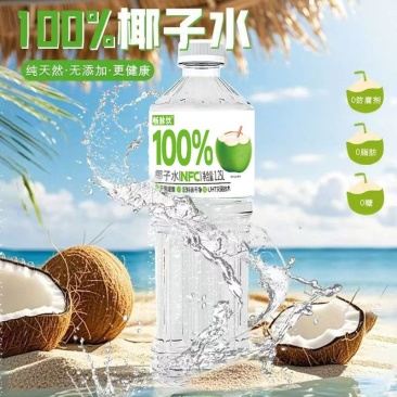 1.25L×12瓶塑包椰子水