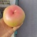 宁夏银川一手货源硬粉西红柿对接全国市场量大从优欢迎采购