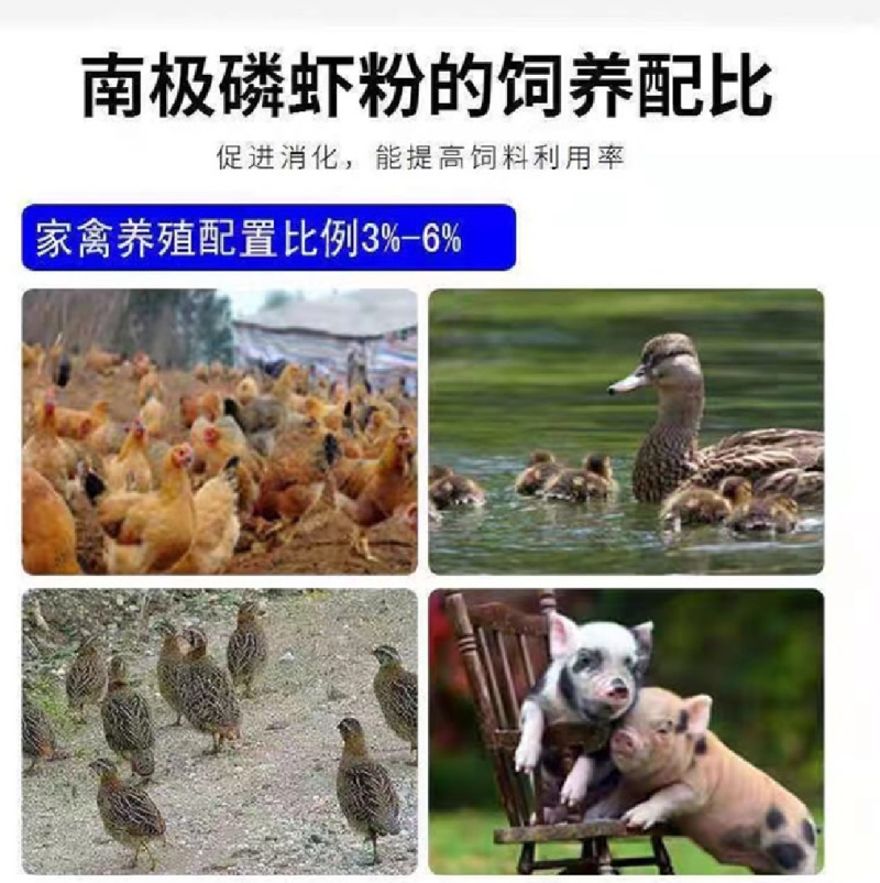 南极磷虾粉