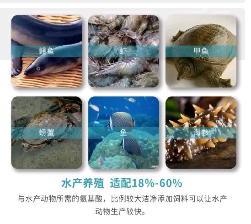 南极磷虾粉