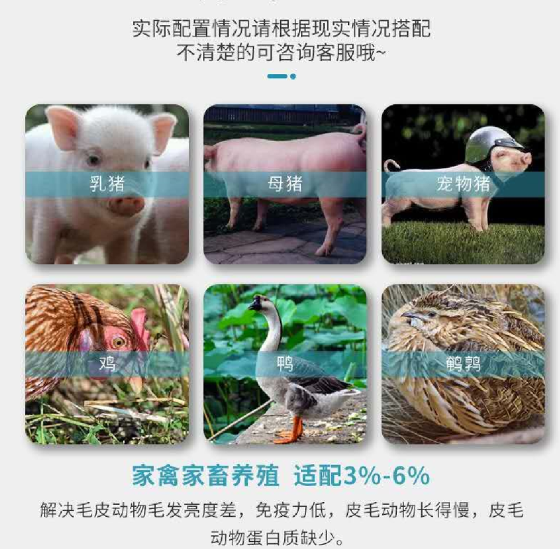 南极磷虾粉