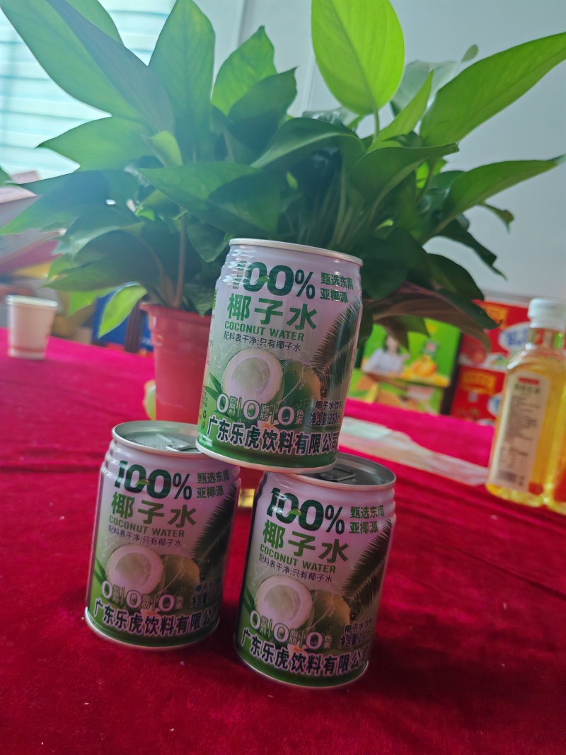 清爽一夏椰子水