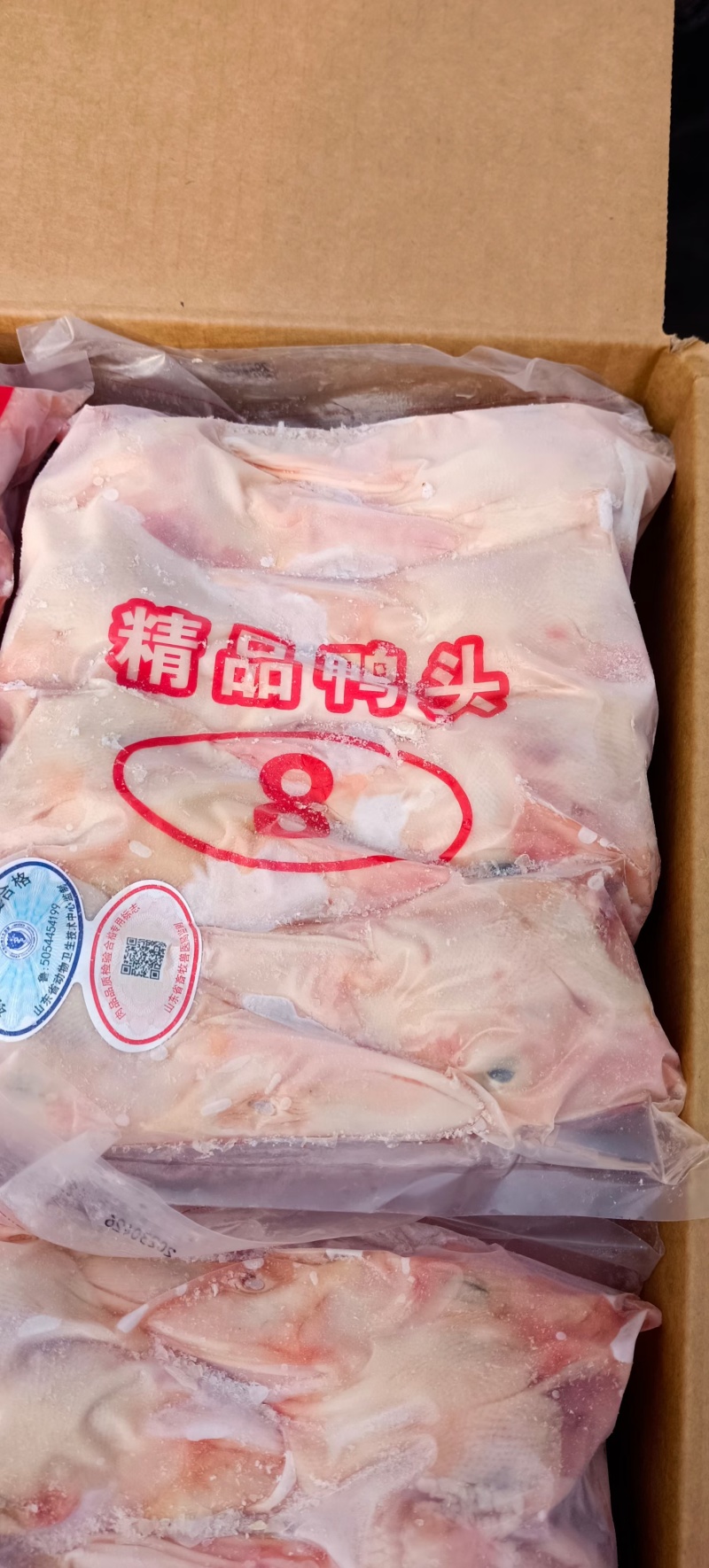 精品8头