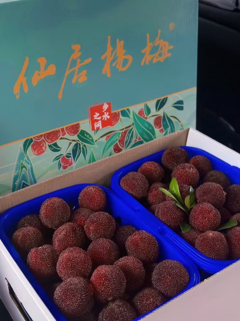 仙居东魁杨梅农户直销
