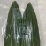 箬竹叶（一箱30包，一包100片）