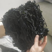 裙带菜烘干裙带菜叶大叶菜整条裙带菜产地直接发货