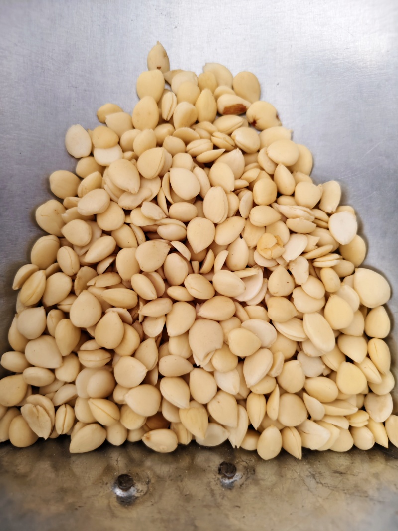 山桃仁中药材山桃仁扁桃仁去皮桃仁正品无硫桃仁批发